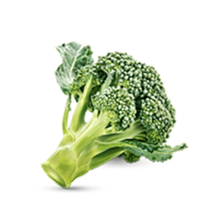 h3-product11 h3-product11