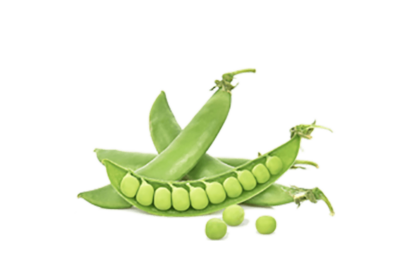 h3-product7 h3-product7