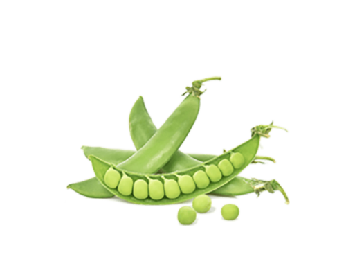 h3-product7 h3-product7