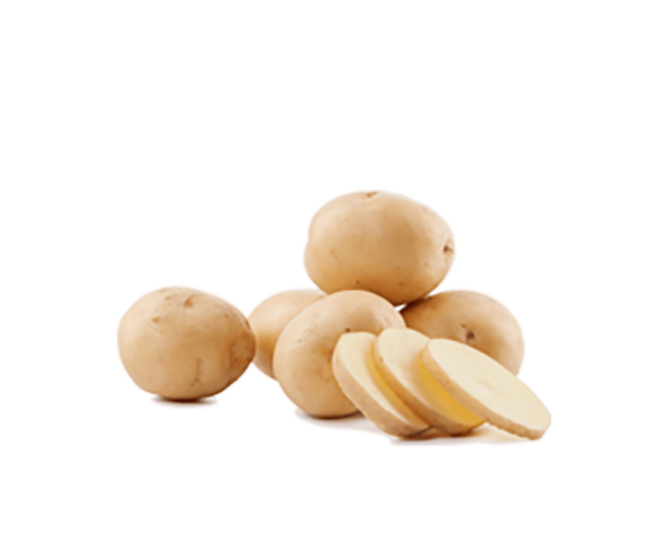 h3-product8 h3-product8